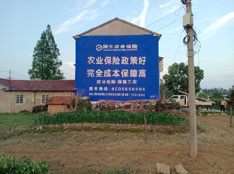 安溪墙体广告的优劣势你知道吗？